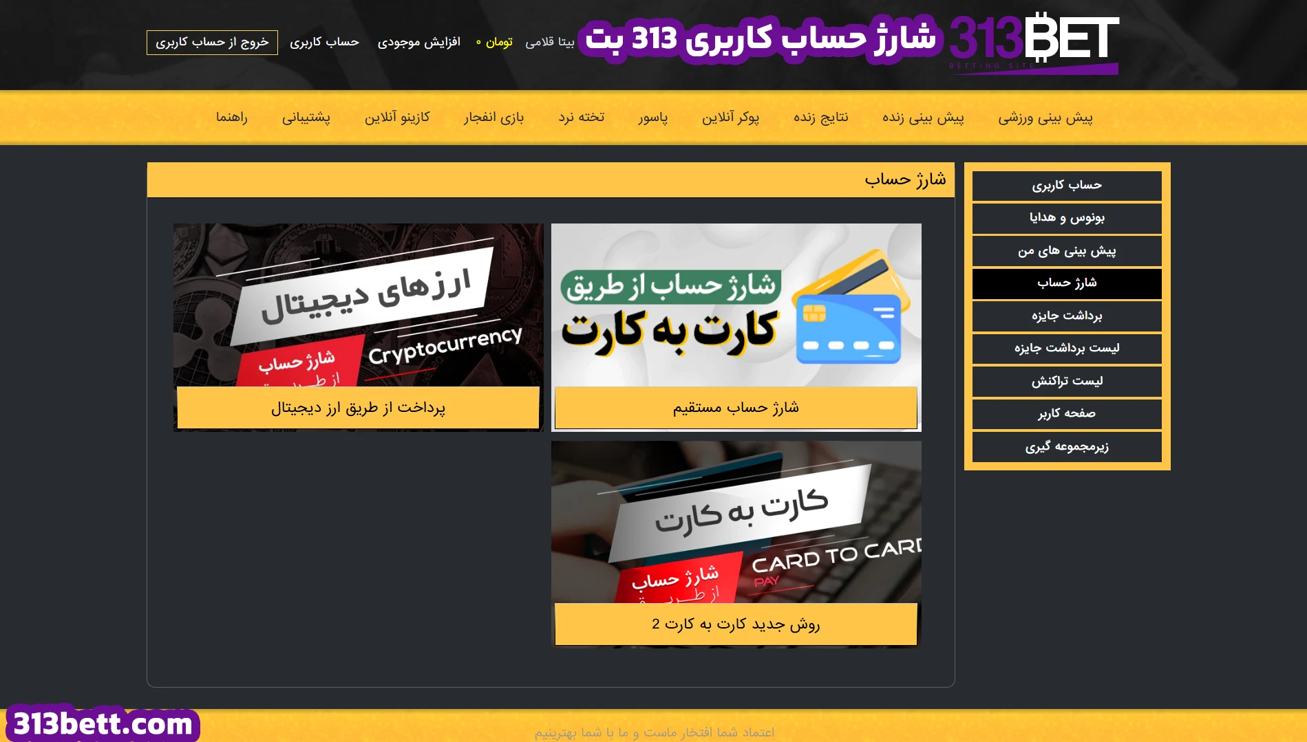 شارژ حساب کاربری 313 بت